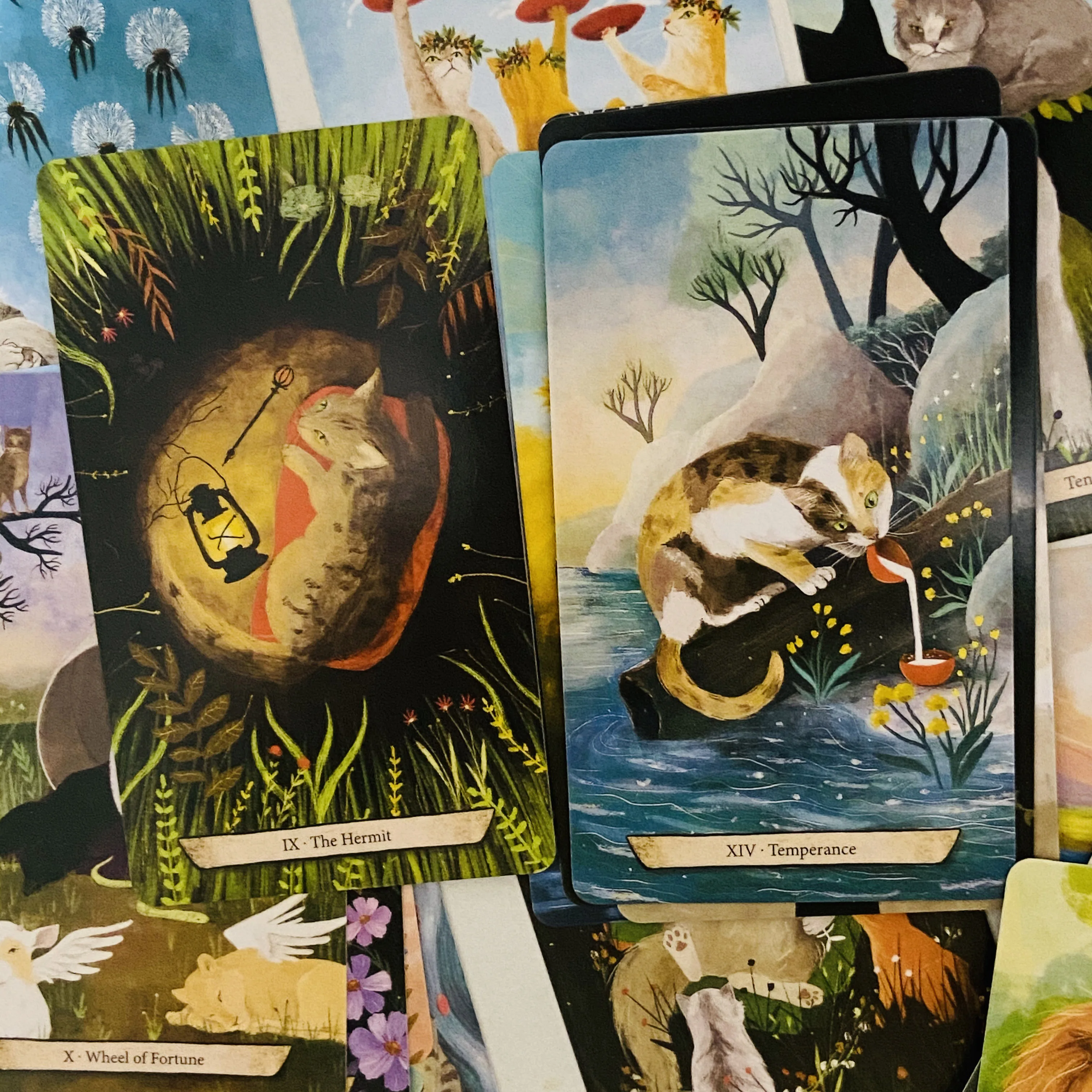Enchanted Forest Felines Tarot Cards 78Pcs The Power of Cat-omancy Cute Kitten Tarot Cards for Cat Lovers