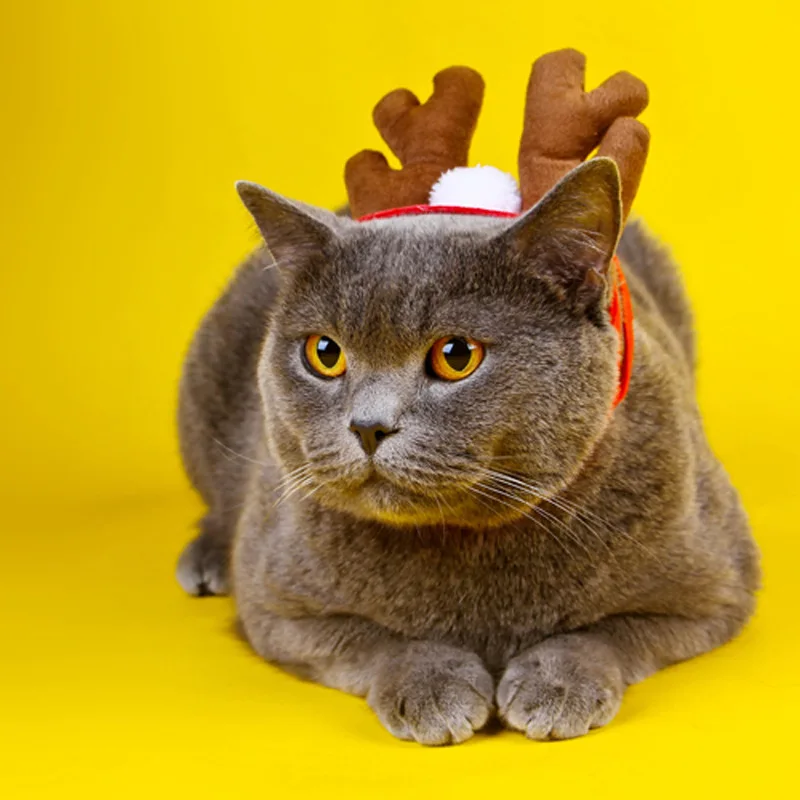 Christmas Hat Pet Costume Halloween Cat Clothes Santa Hat Dog Ornaments Party Cosplay Props Puppy Costumes Scarf Pet Supplies