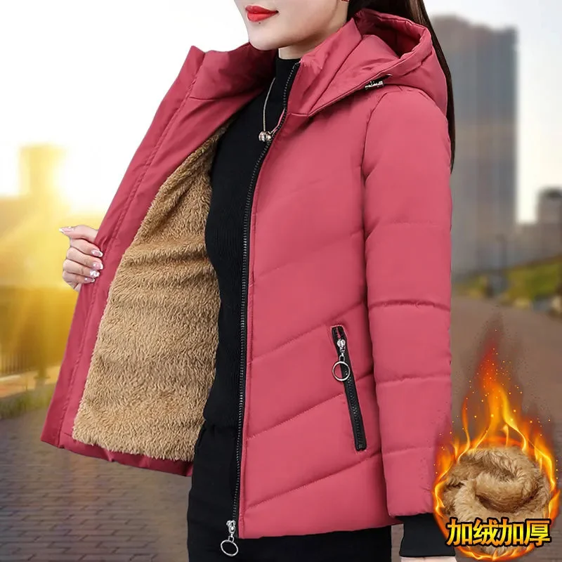 Winter Short Down Cotton Jacket Women New Loose Lambs Wool Hooded Coat Fashion Zipper Outerwear Thicken Parka Overcoat Female