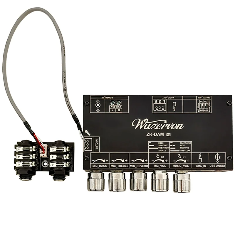 DAM H2 ميكروفون كاريوكي مع بلوتوث USB فك دعم توصيل TWS زوج AABGI