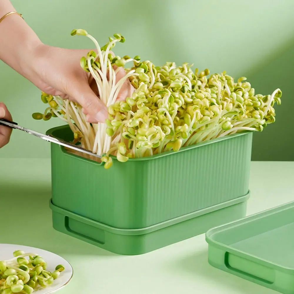 Soilless Cultivation Sprouts Growing Tray Horticultural Tool Sprout Planting Helper Hydroponic Sprouting Plate Multi functional