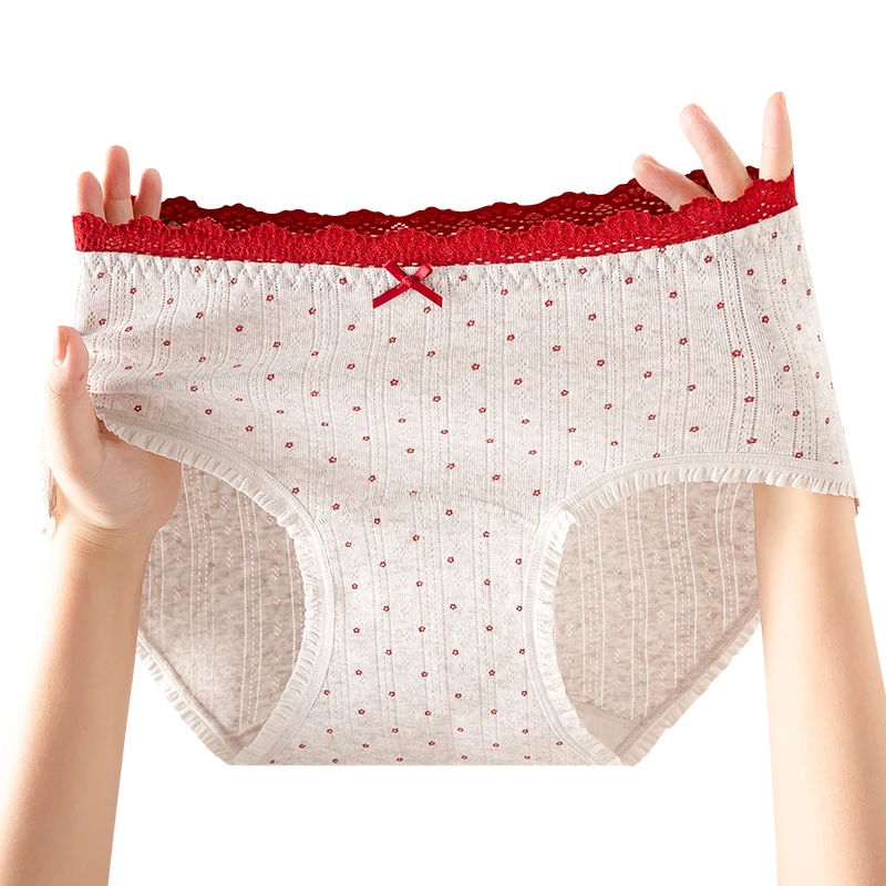 Soft Women Underwear Lady Fashion Plus Size Panties Set Pack Breathable Women's Lingerie Sexy Briefs Lace Triangular Underpants
