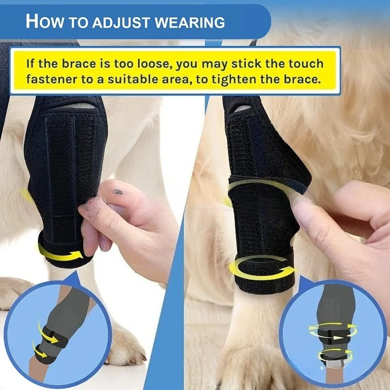 الكلب الخلفي دعم الساق هدفين الركبة التفاف إصابة الكلاب بعد الجراحة الانتعاش آلام المفاصل قابل للتعديل قابلة لإعادة الاستخدام الكلاب الخلفي الساق