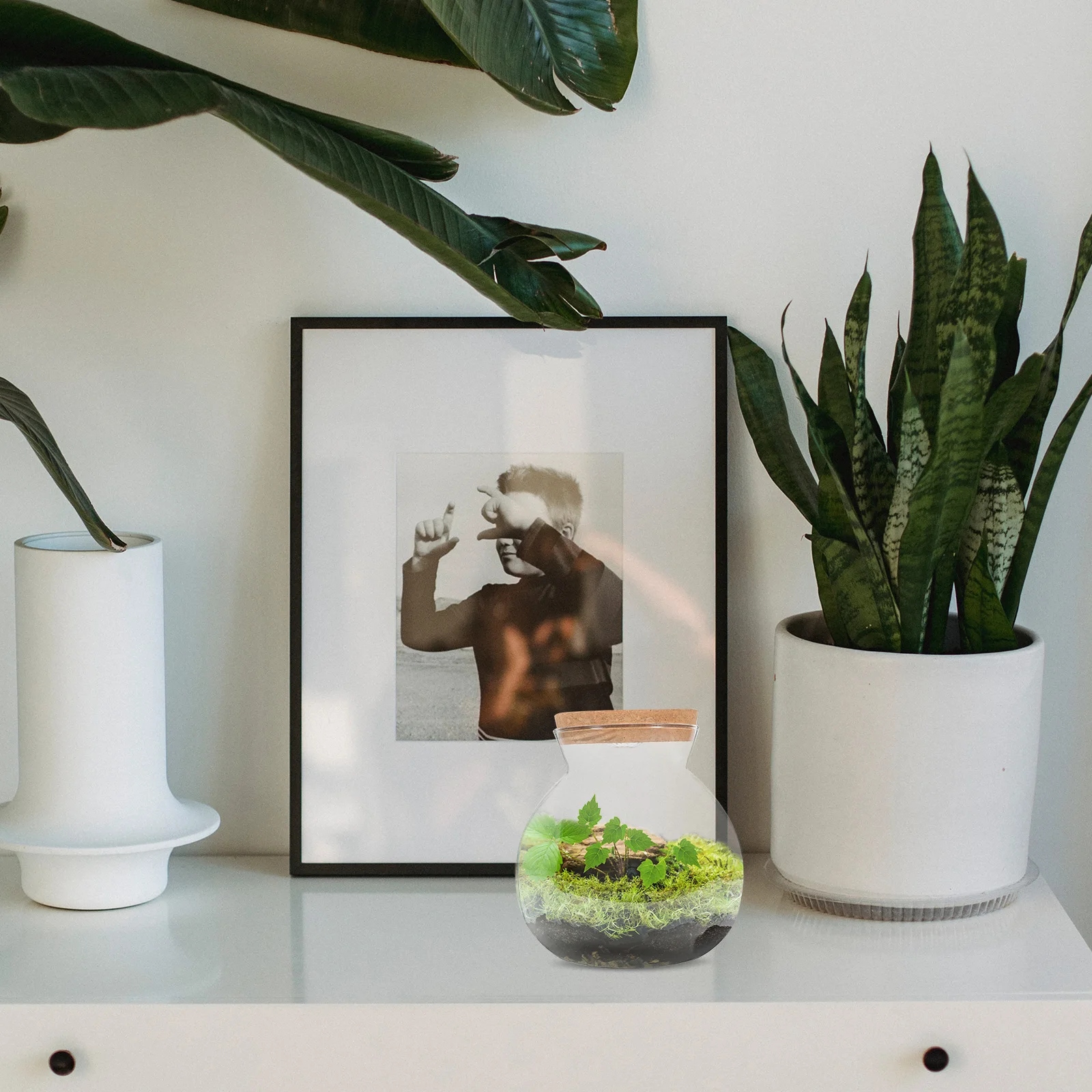 

Cylindrical Glass Bottle with Wooden Cover LED Light Micro Landscape Holder DIY Microlandscape Bottle Simple Plant Terrarium