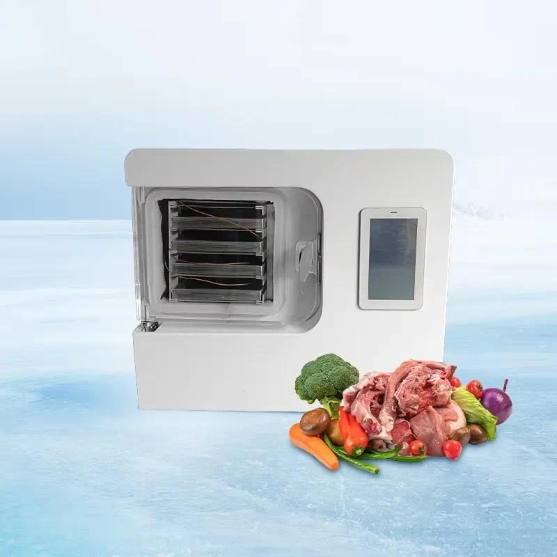 Household Vacuum Freeze Dryer for Meat Fruit Vegetables 4kg 6kg 8kg 10kg 15kg Capacity Small Home Use