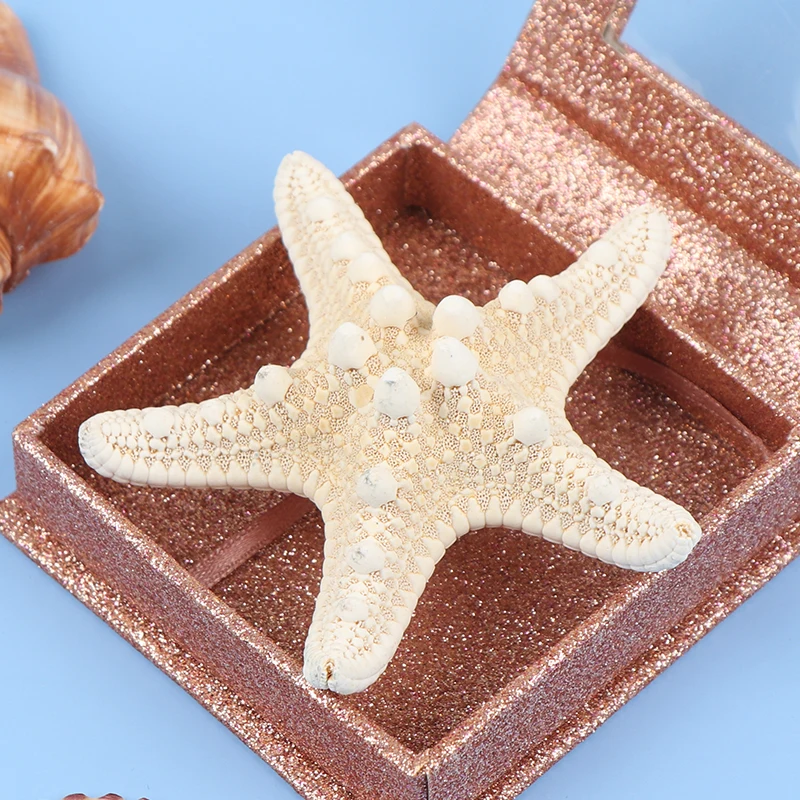 1pcs Starfish Crafts Decor Starfish DIY Shell Sea Fish Party Beige Starfish Decor