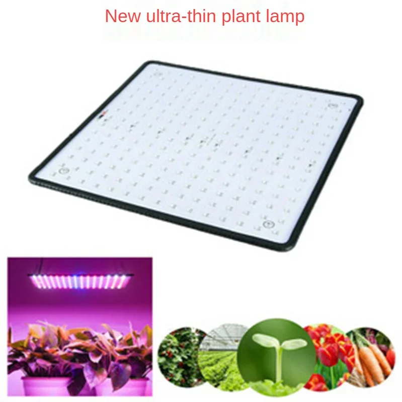 Led plantengroeilicht bloemkassen, vlezig tentlicht 1000W plantenvullicht