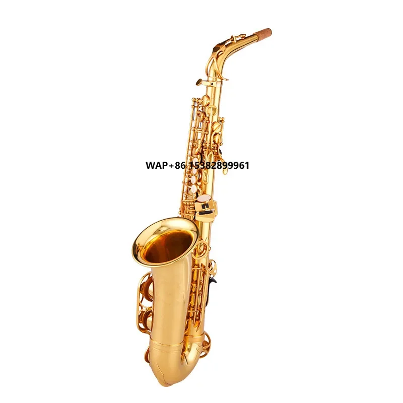 Starway OEM ODM Professional Performance Level Lacquer Gold Hand-Carved E-Flat Alto Saxophone With Accessories Wind Instruments
