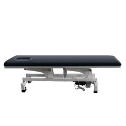 Electric Massage Tables Professional Bed Aesthetic Marquise Portable Stretcher Medical Folding Beauty Spa Lettino Pieghevole