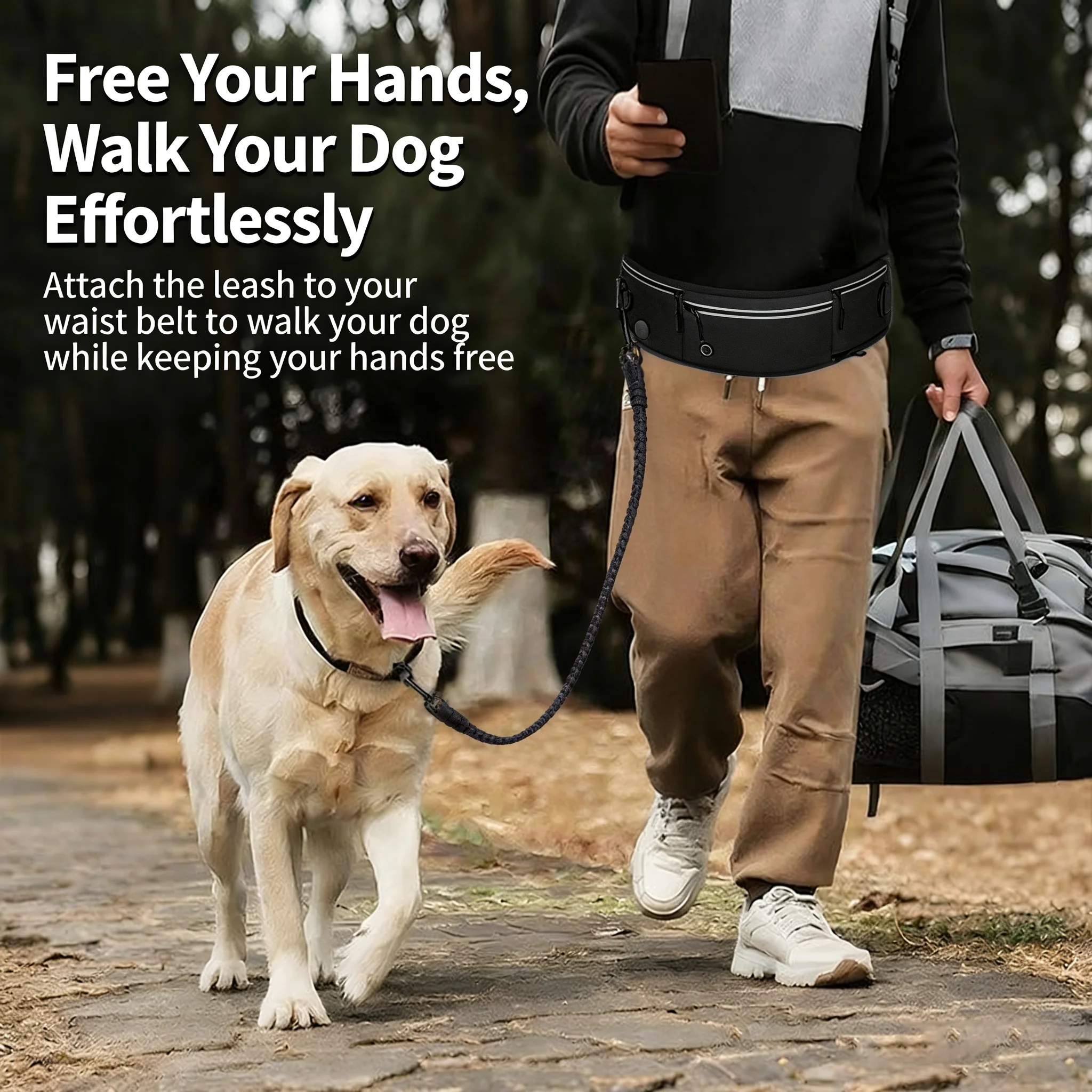 Pet Leash for Running with Wai - Sports Equipment Set review and price