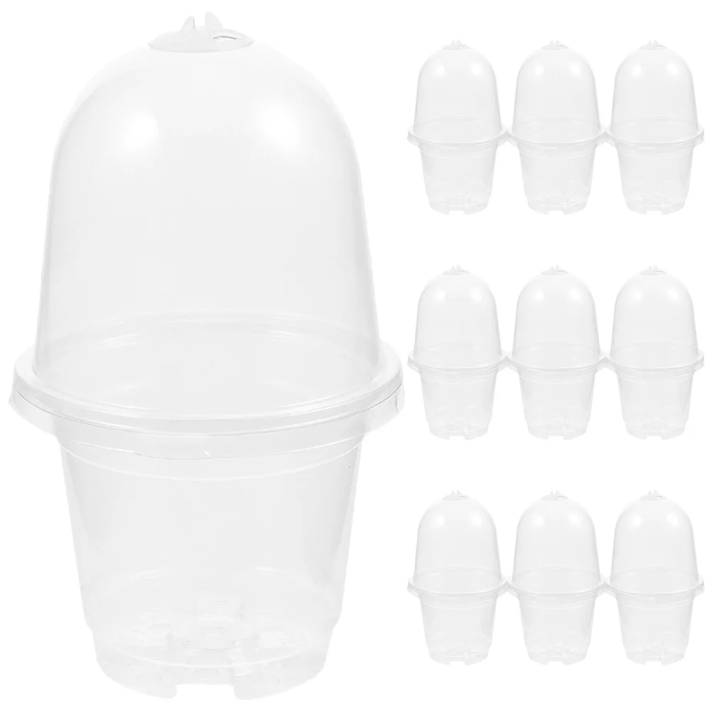 مجموعة واحدة من أواني الحضانة البلاستيكية الشفافة مع فتحات تصريف لزراعة الشتلات النضرة في الأماكن المغلقة والخارجية أوعية الحضانة الشفافة