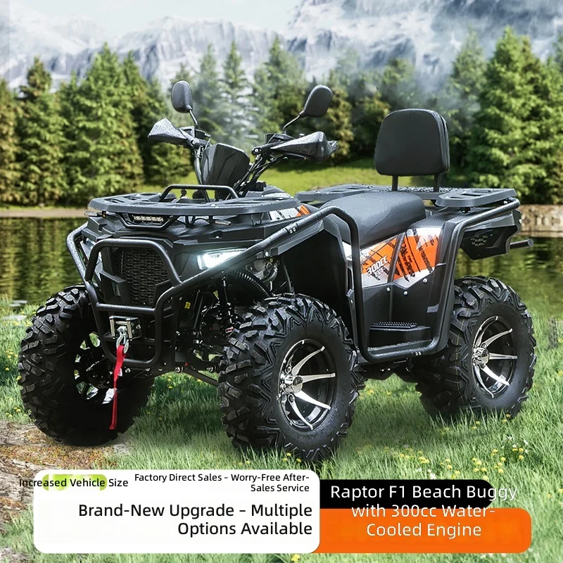 ATV 200-300CC, Automatic Transmission, 4-Wheel Off-Road Motorcycle, Raptor   All-Terrain Vehicle, Quad Bike