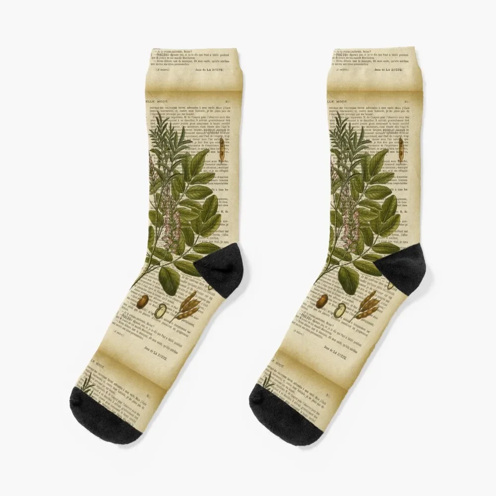 

Botanical print, on old book page - licorice Socks funny sock Running compression Men's Socks Luxury Women's