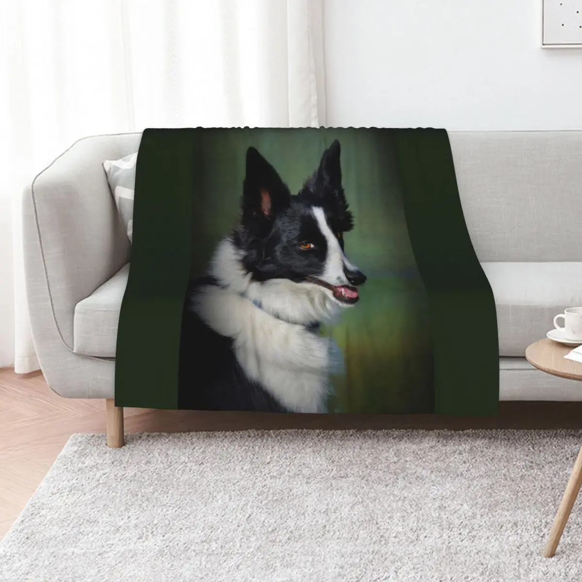 

Border Collie Throw Blanket Furry Decorative Sofa anime manga Blankets