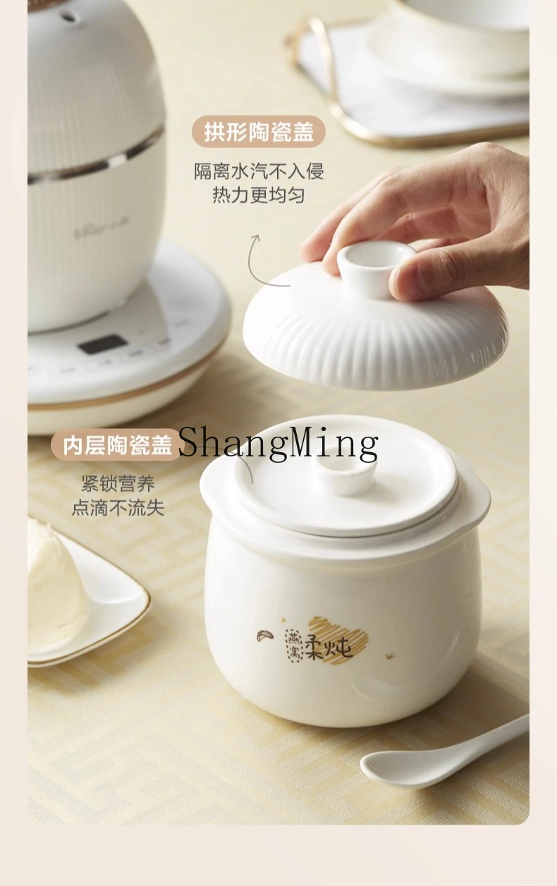 ZYY الحساء المقاوم للماء المنزلية وعاء الحساء الكهربائي التلقائي حساء السيراميك الصغيرة آلة الطبخ متعددة الوظائف