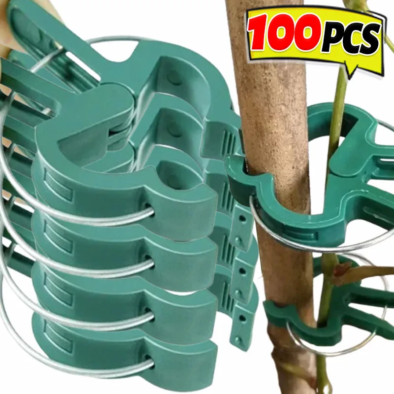 Plant Fixed Clips Reusable Garden Bracket Tomato Cucumber Fix Stems Fastener Climbing Plants Vine Organizing Branch Support Clip