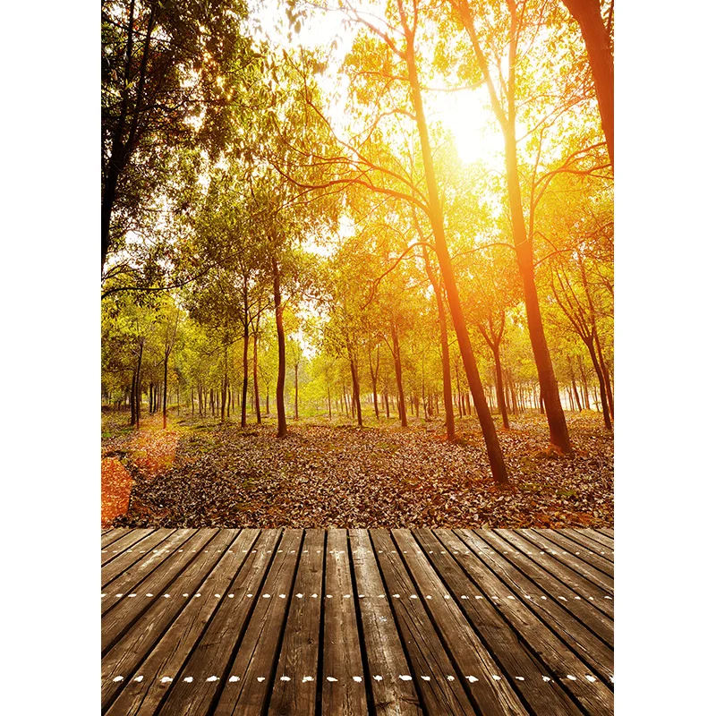 Landscape Spring Forest  Photography Backgrounds Sky Sea Scenery Baby Portrait Photo Backdrops Studio 210309TFX-03