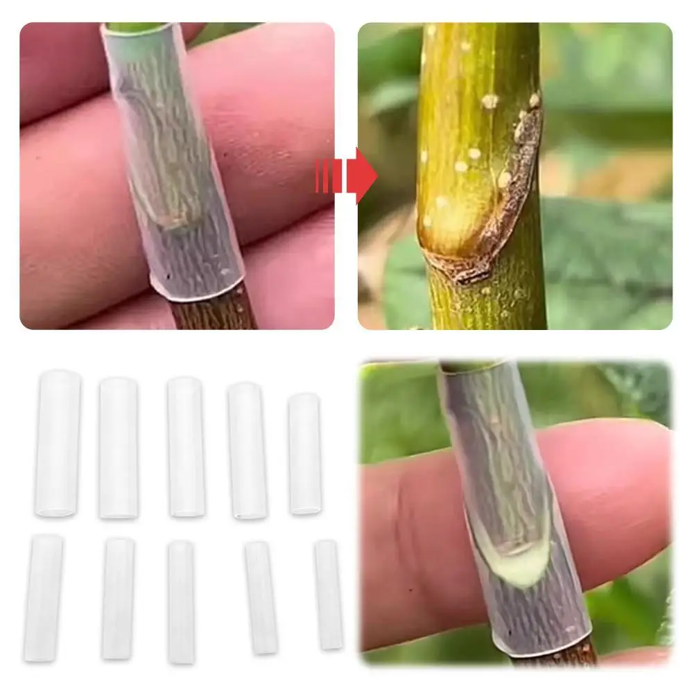 

Силиконовый рукав для прививки 3-7,5 мм, силиконовый экран, инструмент для прививки плодовых деревьев, для садовых растений, фермеров, садовников, флористов