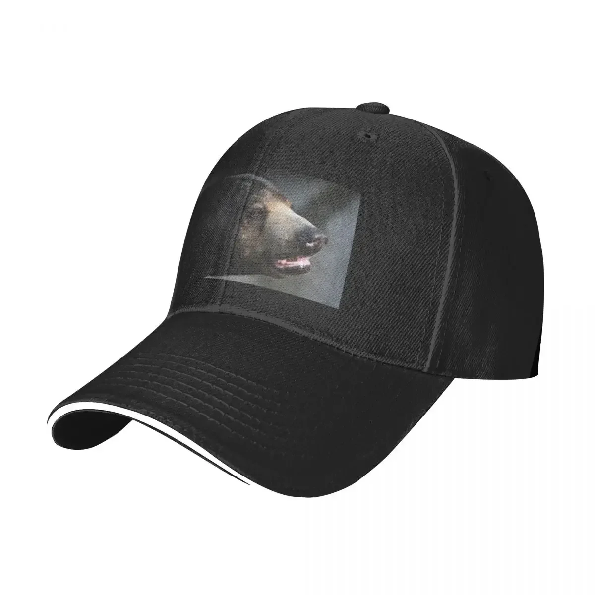 Sun Bear Portrait Baseball Cap black Gentleman Hat Cosplay Designer Man Women's