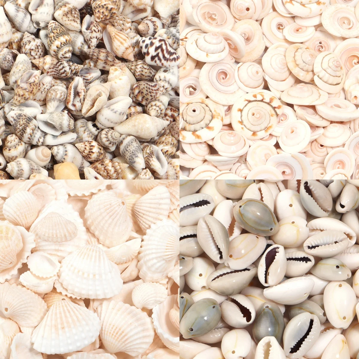 30/40/50g Natürliche Meer Blume Schnecke Shell Perlen Lose Spacer Perlen für DIY Schmuck Armband Anhänger handwerk Dekoration Zubehör
