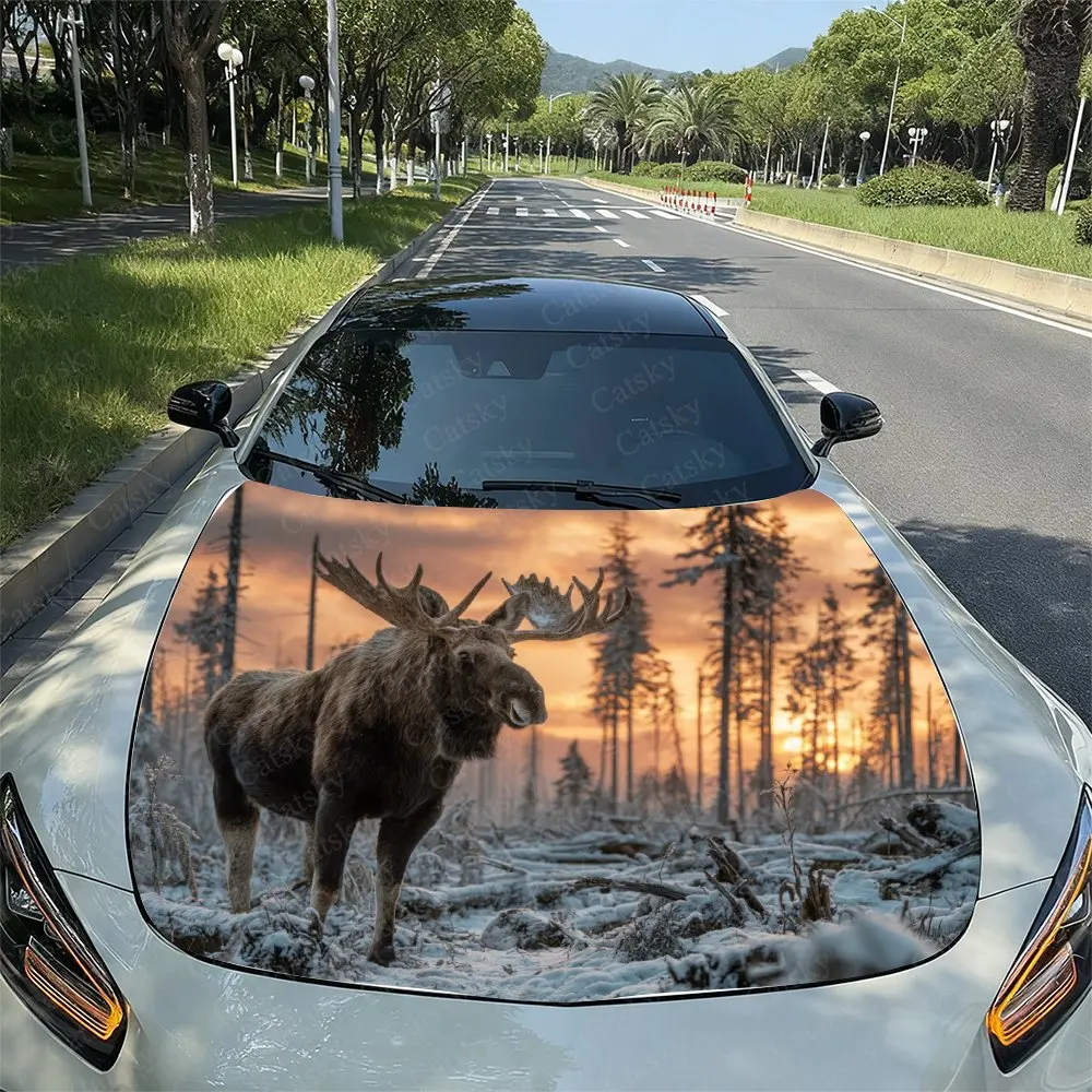 

Sunset Snowy Forest Camel Car Hood Wrap Colorful Vinyl Sticker For Trucks, Decorative Bonnet Graphics And Auto Accessories,Car S
