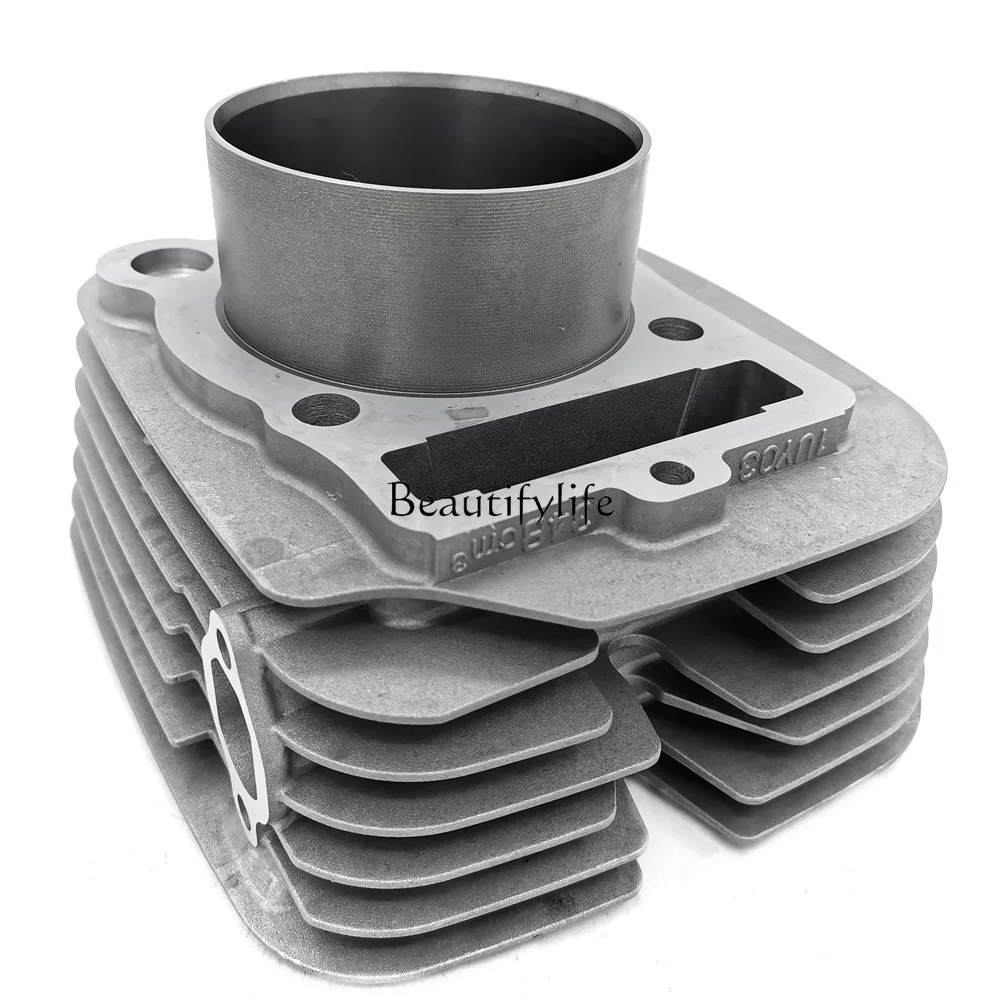 

Мотоциклетный цилиндр YFM350, подходит для цилиндров -4 Вт 350, 1987-2003 гг.