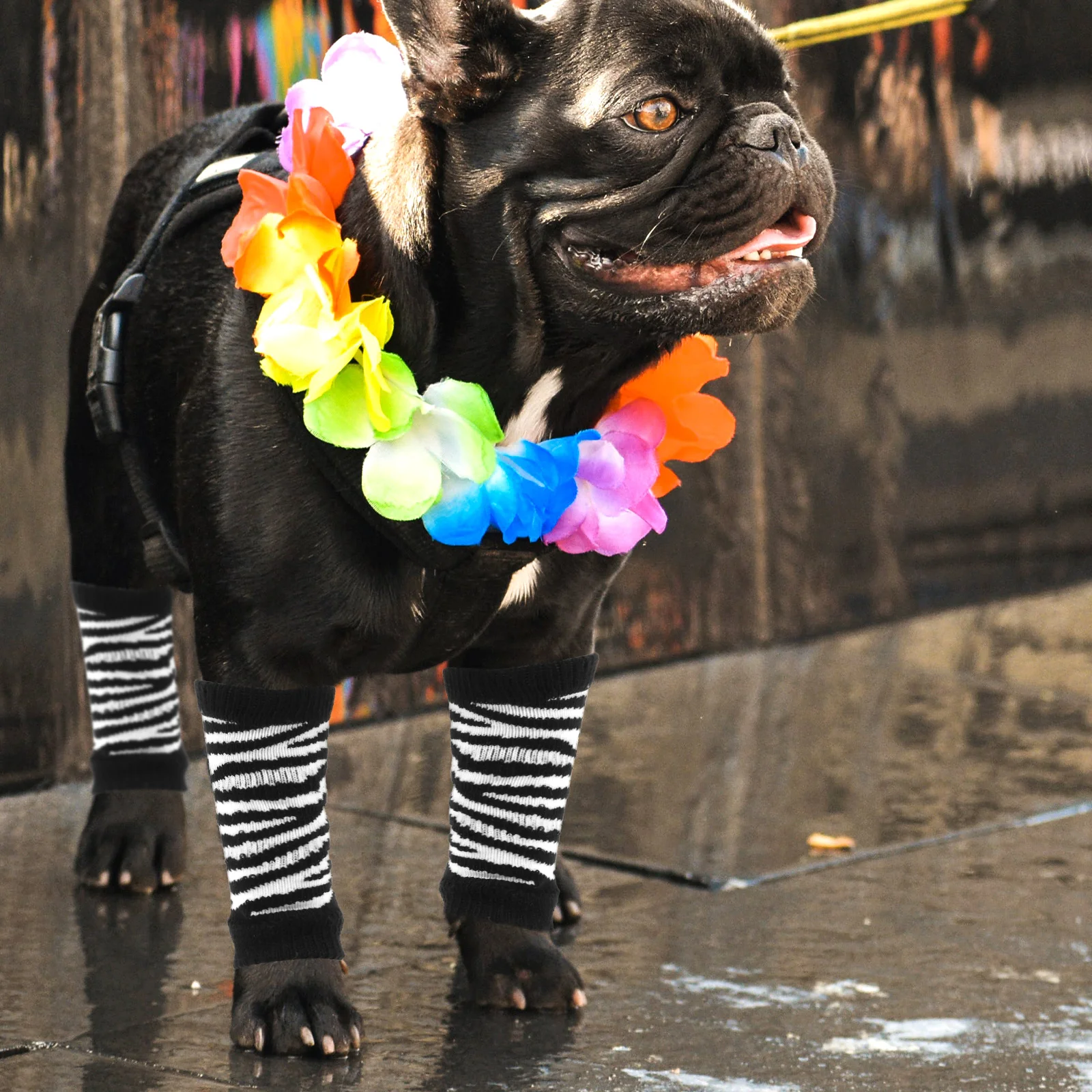 

1 set 1 Set Pet Leg Protective Sleeve Breathable Cotton Dog Socks For Small Dogs Washable Puppy Accessories Comfortable Elastic