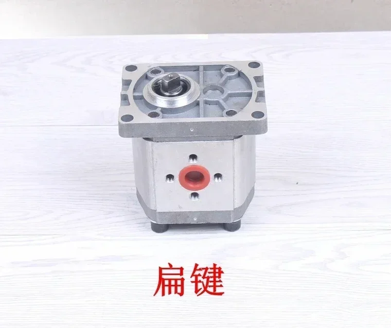 Гидравлический шестеренный насос масляный насос CBN-E 304306310310314316320325   насос высокого давления CBT-F