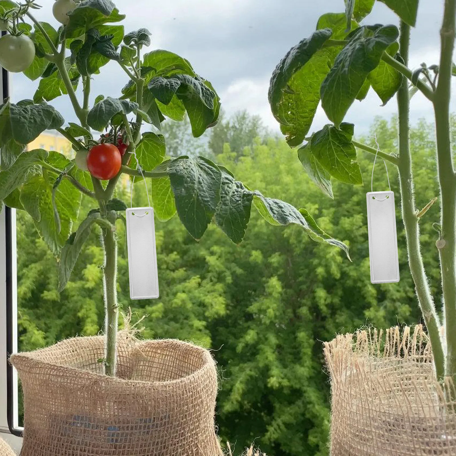 

50 шт. алюминиевых этикеток для растений, многоразовые металлические бирки, легкие портативные маркеры для сада, для деревьев, горшков, теплиц, рассады