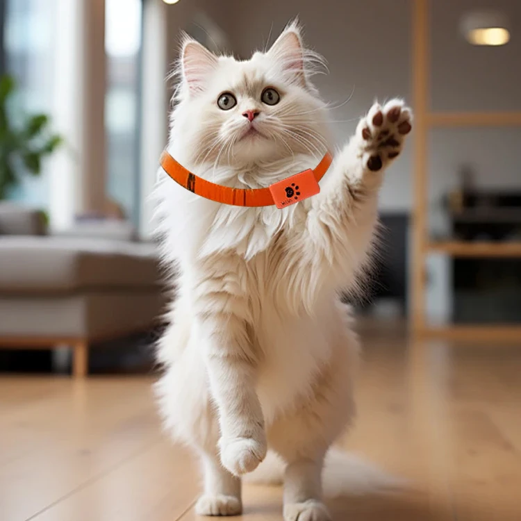 STLFTop Selling Health Monitoring Pet Tracker Waterproof Collar with Escape Alerts