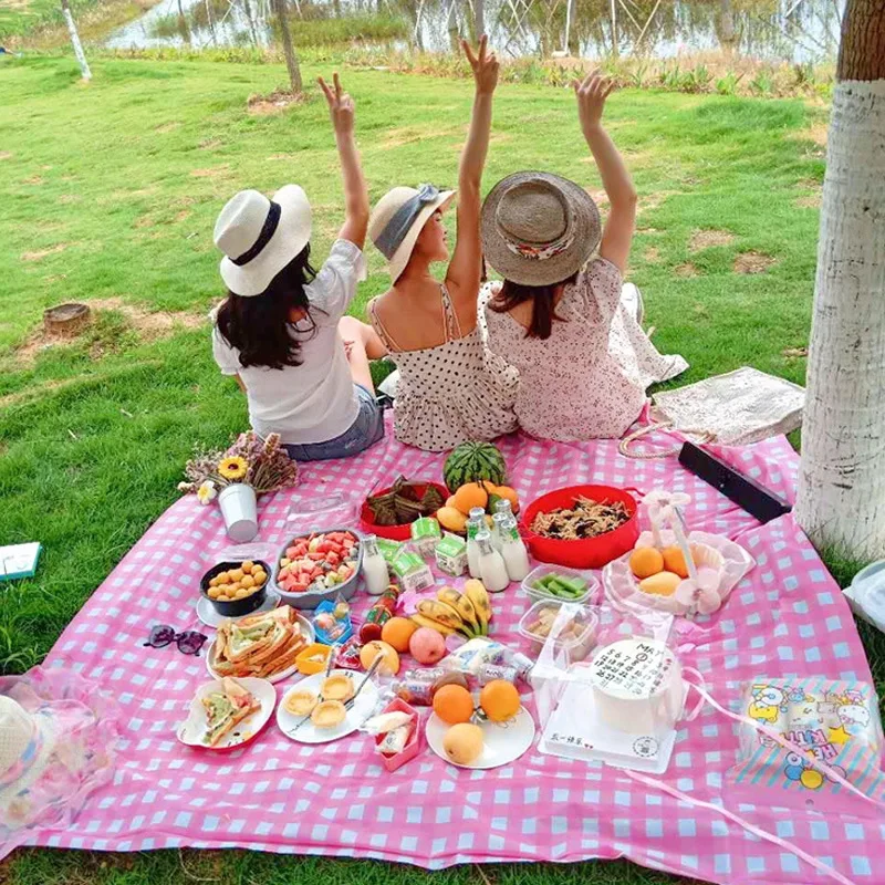 Internet Celebrity Disposable Tablecloth Thickened Outdoor Picnic Mat Spring Outing Camping Barbecue Plastic Cushion Waterproof