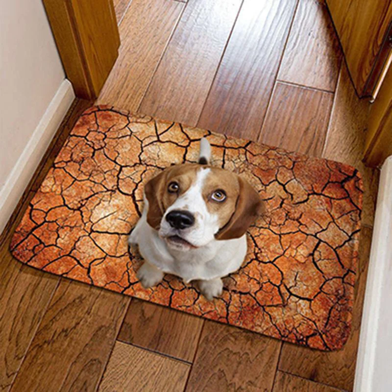 3D Flannel Printed Cute Pug Dog Entrance Doormat Floor Carpet Bathroom Bedroom Door Mat Bedside Rug Home Decor Kitchen Balcony