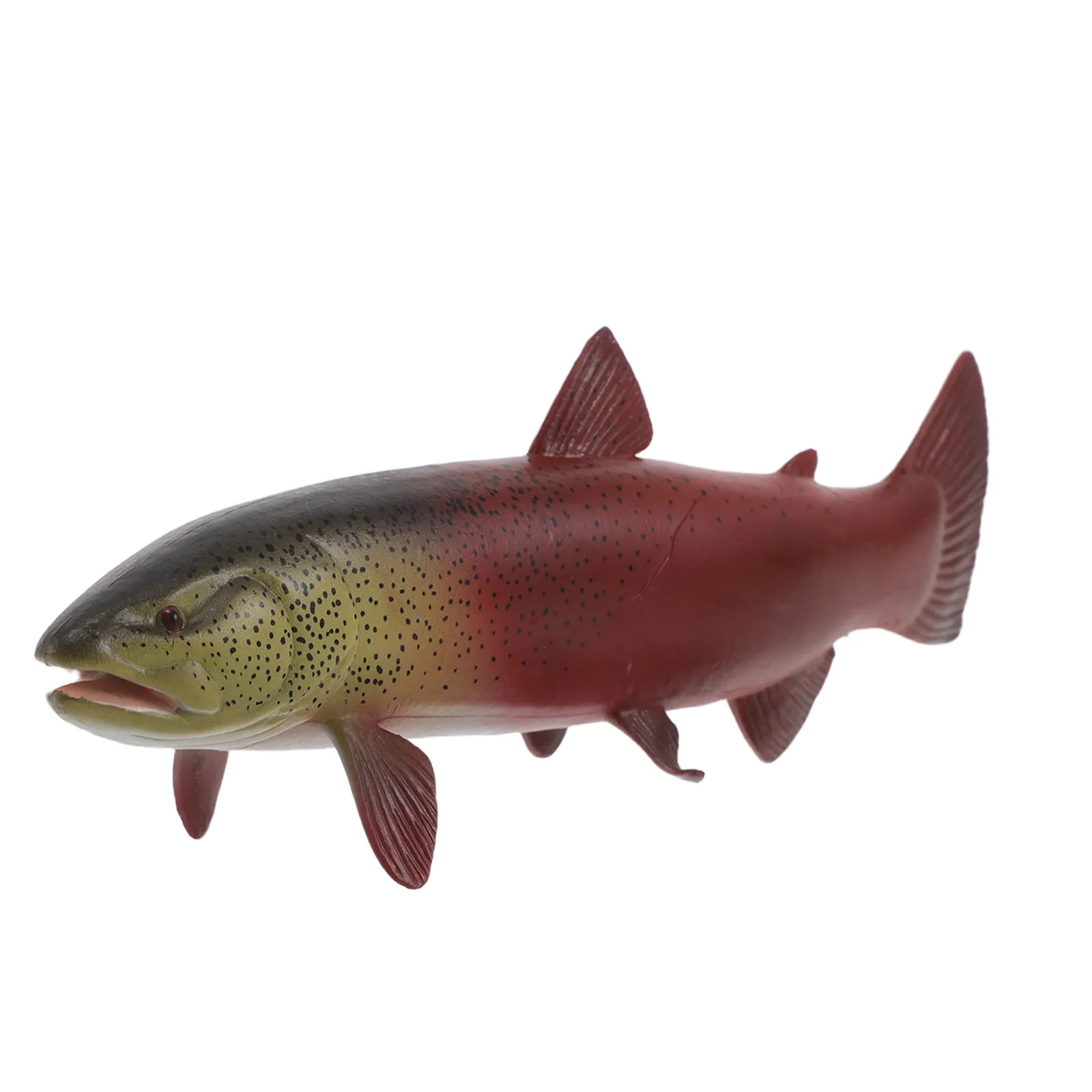 

Simulated Rainbow Trout Marine Animal Fish Realistic Ocean Science Classroom Learning Interactive Decoration for Children