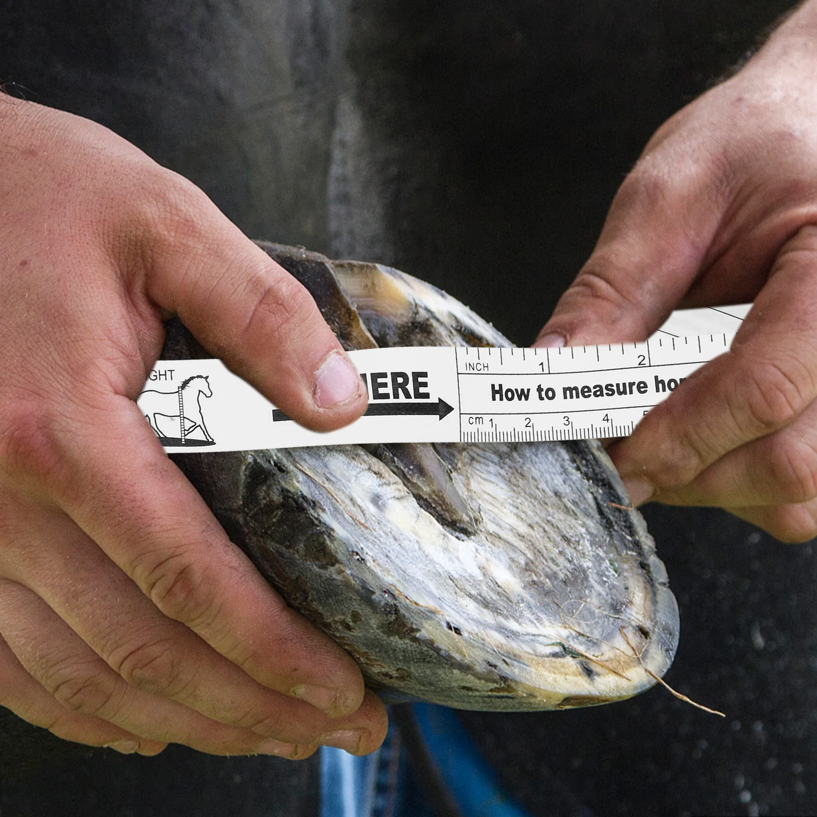 

Livestock Horse Tape 2 5m Portable Tool for Body Horse Weight Measure Tape Weighing Height Chest Practical Animal Measurement