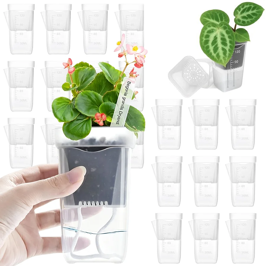 12/24pcs Clear Self‑watering Orchid Planter, Flower Pot with Scale Mark, Plastic Growing Container for Houseplant Care, XJM