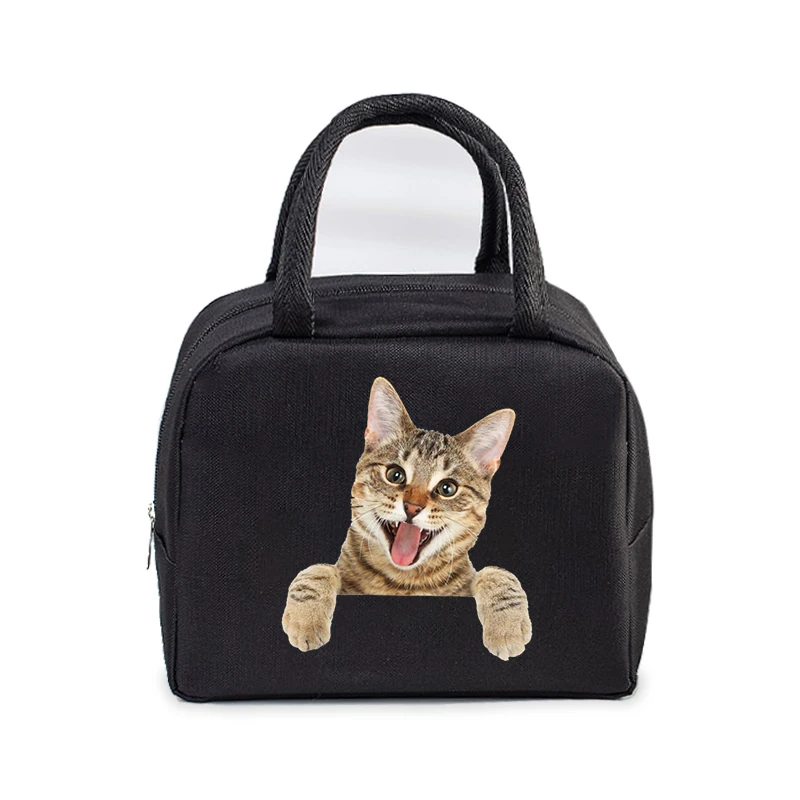 Borsa per il pranzo per donna uomo isolata portatile 3D Cartoon Cats borsa multifunzionale contenitore per alimenti termico scuola bambini borsa da