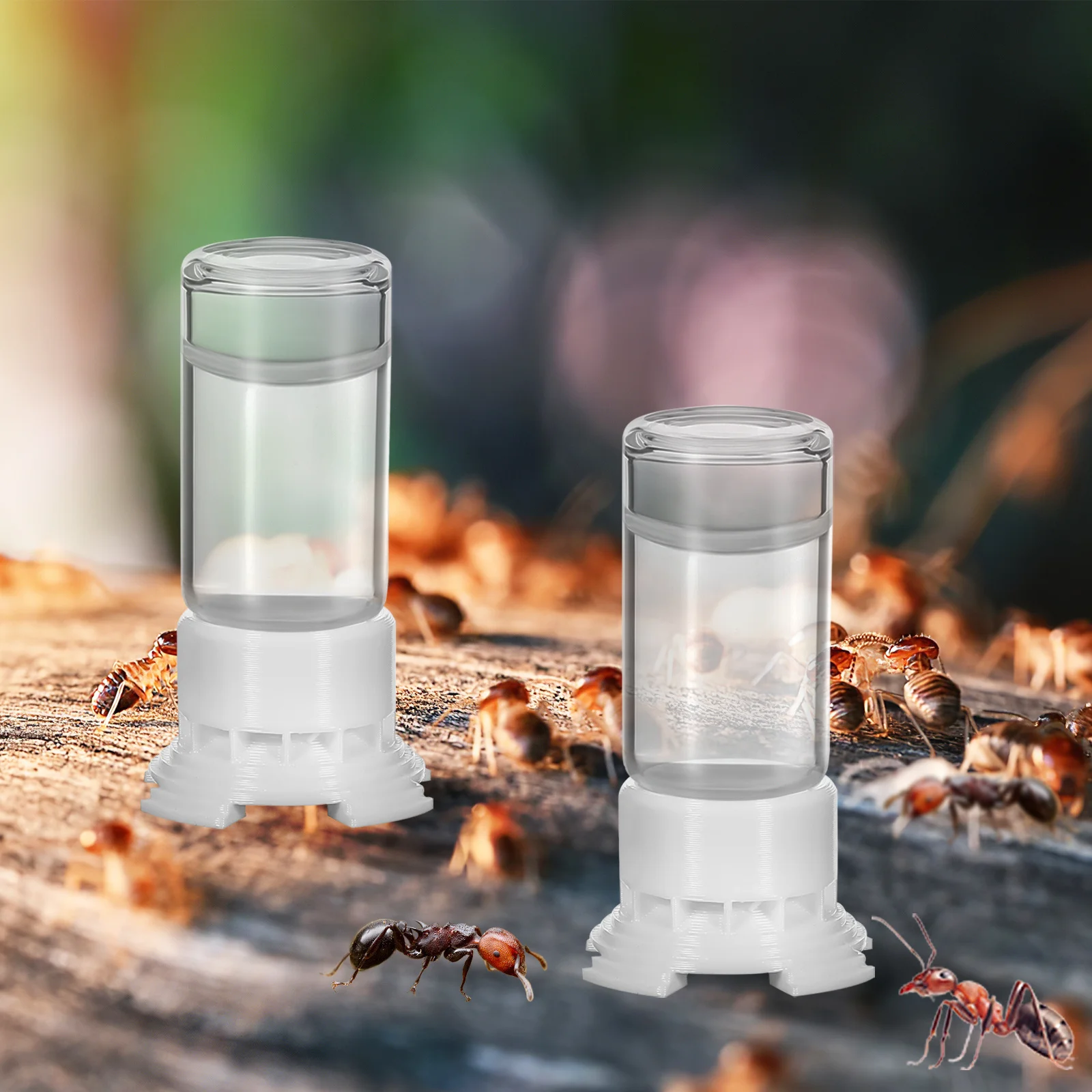 

2 Pcs Feeding Bowl Ant Water Dispenser Feeder Small Watering Cup Waterer Feeders Ants