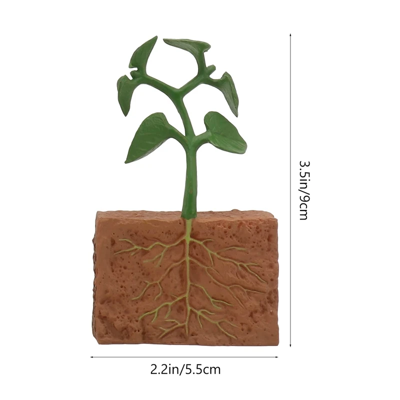 8-delige Spider Growth Cycle Animal Growth Cycle Biologisch Model Speelgoed Kinderen Cognitieve Dierfiguren Educatieve Kit