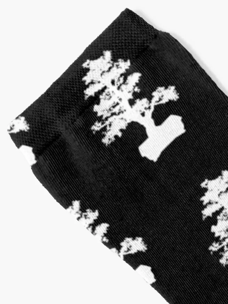 Non-Slip Bonsai Tree Socks para homens e mulheres, moda Gym Socks