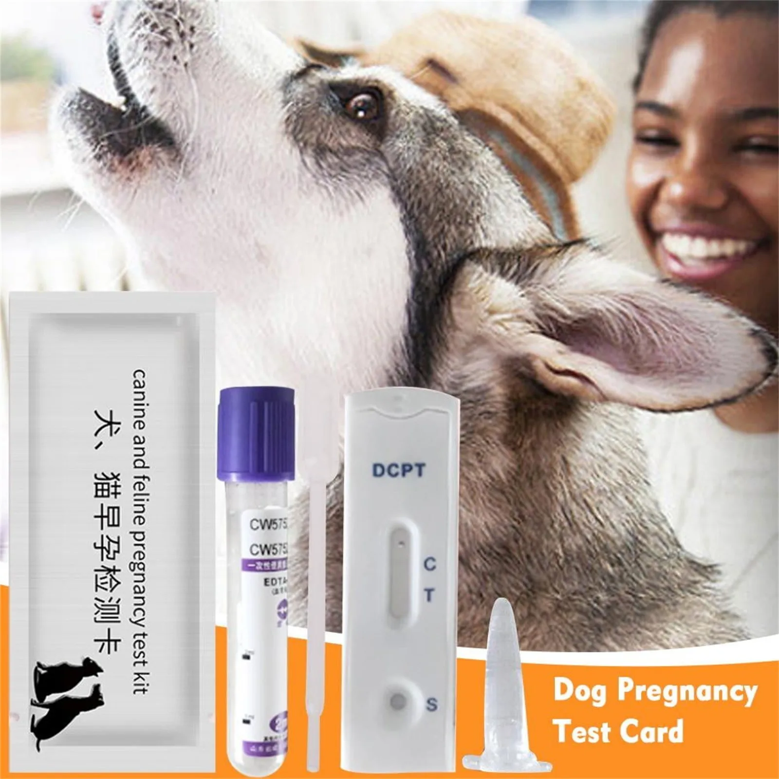 Home Dog Pregnancy Test Kit 15 Minutes Rapid Testing Serum or Venous Blood Test Suitable for All Large, Medium and Small Dogs