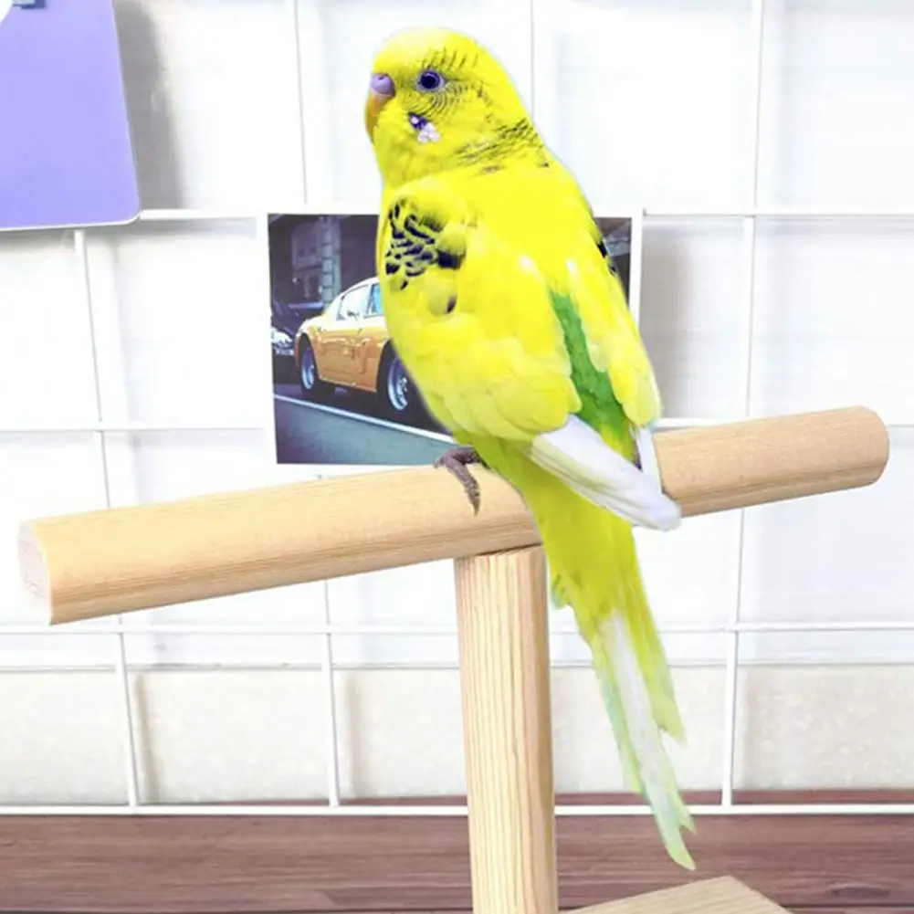 Durable Bird Stand Anti-scratch Sturdy Wood Wood Bird Parrot Training Spin Perch