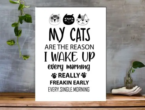 Funny Cat Aluminium Sign / Metal Plaque For Any Room 