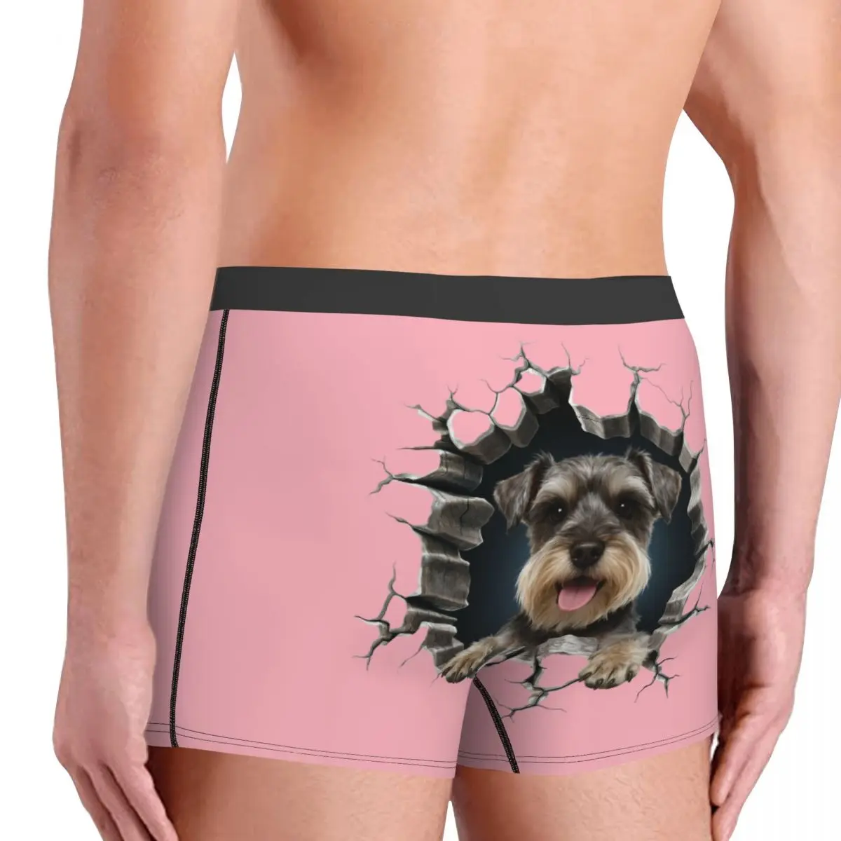 Schnauzer جدار قواطع الرجال الملاكمين ملخصات للزوج هدية عيد الحب الكلب عاشق الملابس الداخلية الجدة ملخصات السروال