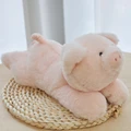 pig