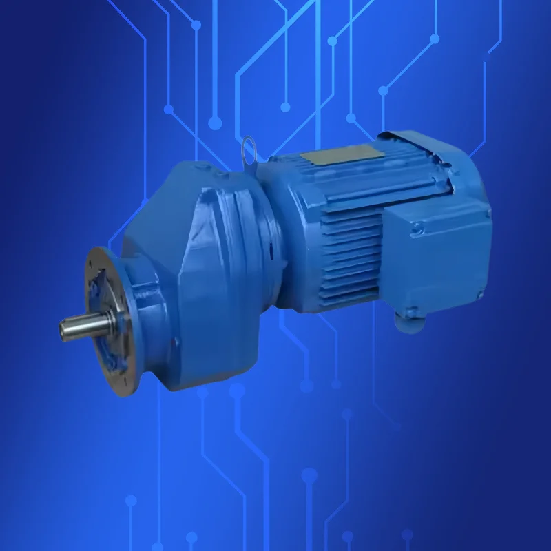 

R109 Helical Gear Reducer For Screw Conveyors And New Energy Equipment Customizable For Farm And Industry