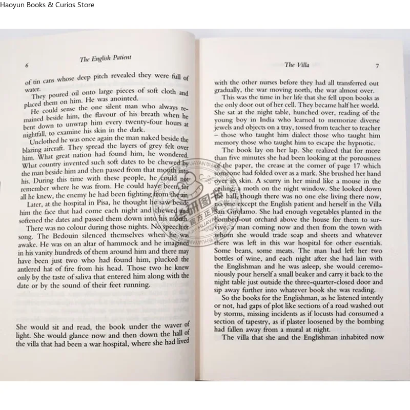 رواية النسخة الإنجليزية 、الغطاء المريض الإنجليزي قد يتغير. السلعة الفعلية تسلل. مايكل أونداتجي