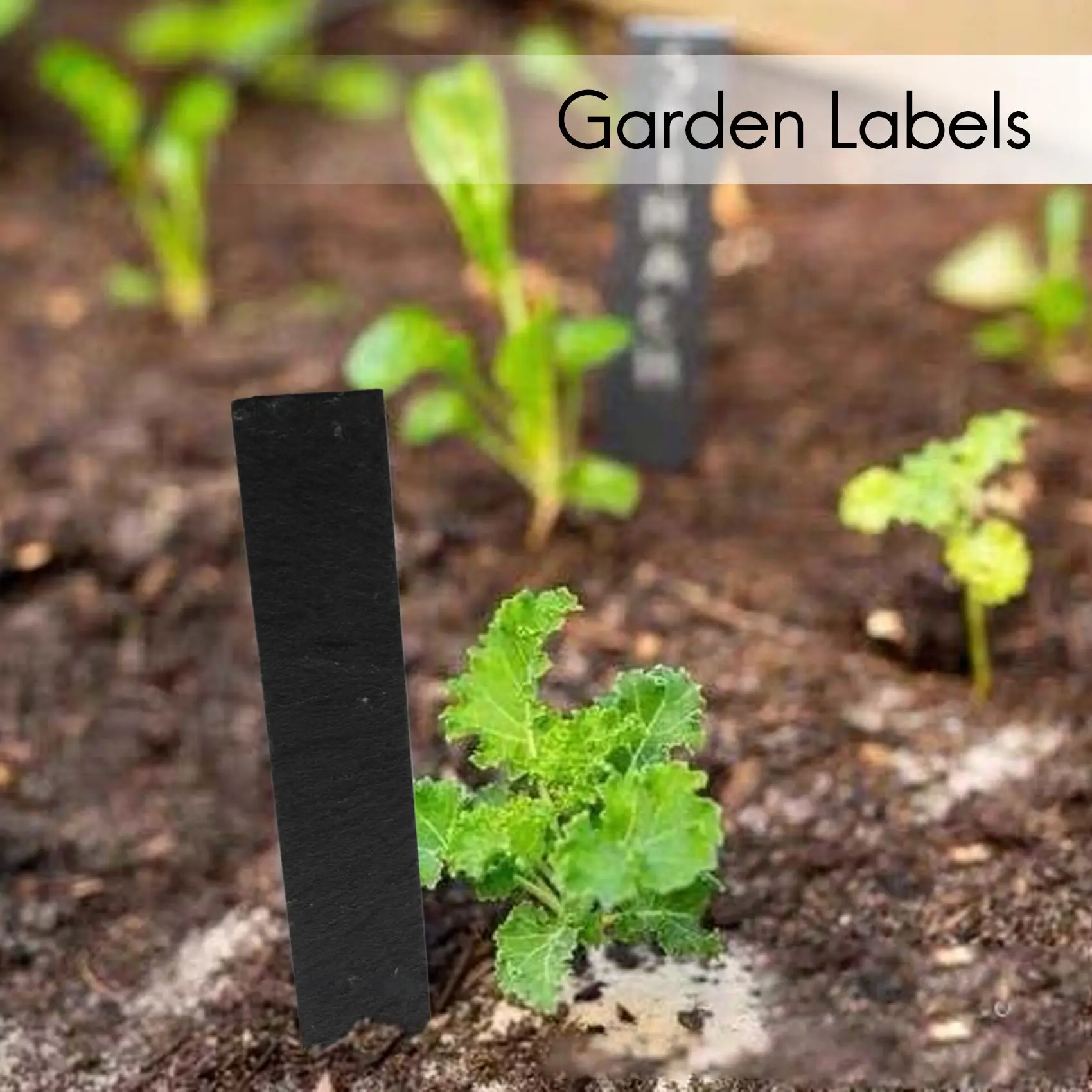 A21I-Slate Plant Label Markers Garden Labels Tags For Vegetable Or 15X2cm, 10 Pcs