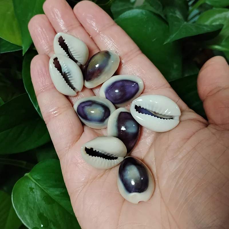 20 PC Blue-eyed Cowrie Sea Shells Real Purple Conch For Specimen Creative DIY Jewelry Nautical Fish Tank Aquarium Landscape