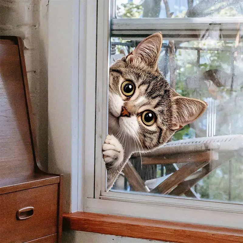 Funny Cat Peeking Window Wall Sticker Bathroom Toilet Decor Living Room Cabinet Refrigerator Home Decoration Decal Stickers S636