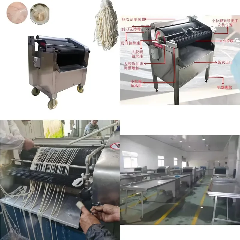 2026 CE Factory Stainless Steel Hog Cow Pig Sausage Casing Intestine Scraper Washing Machine for Pork Sheep Intestine